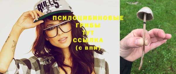 молекула духа Зеленодольск